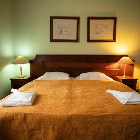 Ester מלון קרלובי וארי