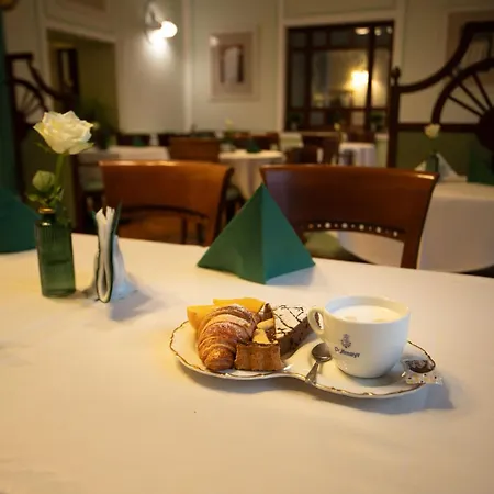 Ester קרלובי וארי